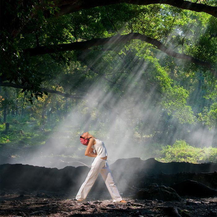How Can You Plan a Premium Weekend Getaway at a Resort in Wayanad?