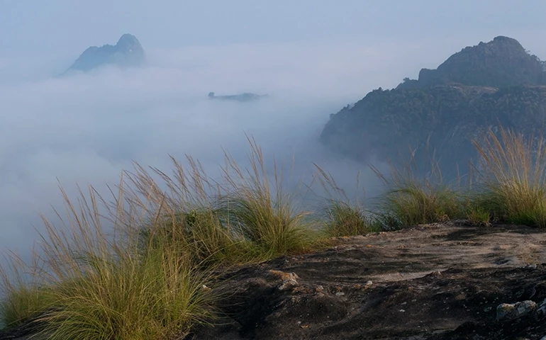 Experience the Breathtaking Beauty of Cheengeri Hills in Wayanad