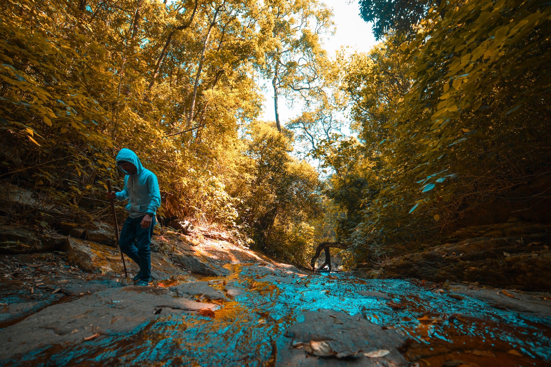 900 Kandi Wayanad - A Little Secret of Wayanad
