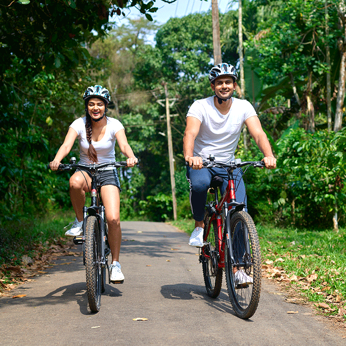 Pedal to the Wild