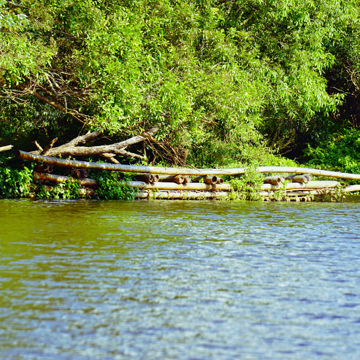 Kuruva Island