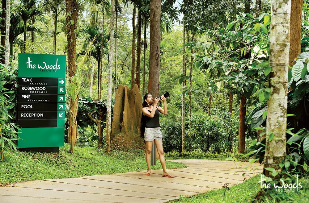 Benefits of Staying in a Resort for Your Next Vacation