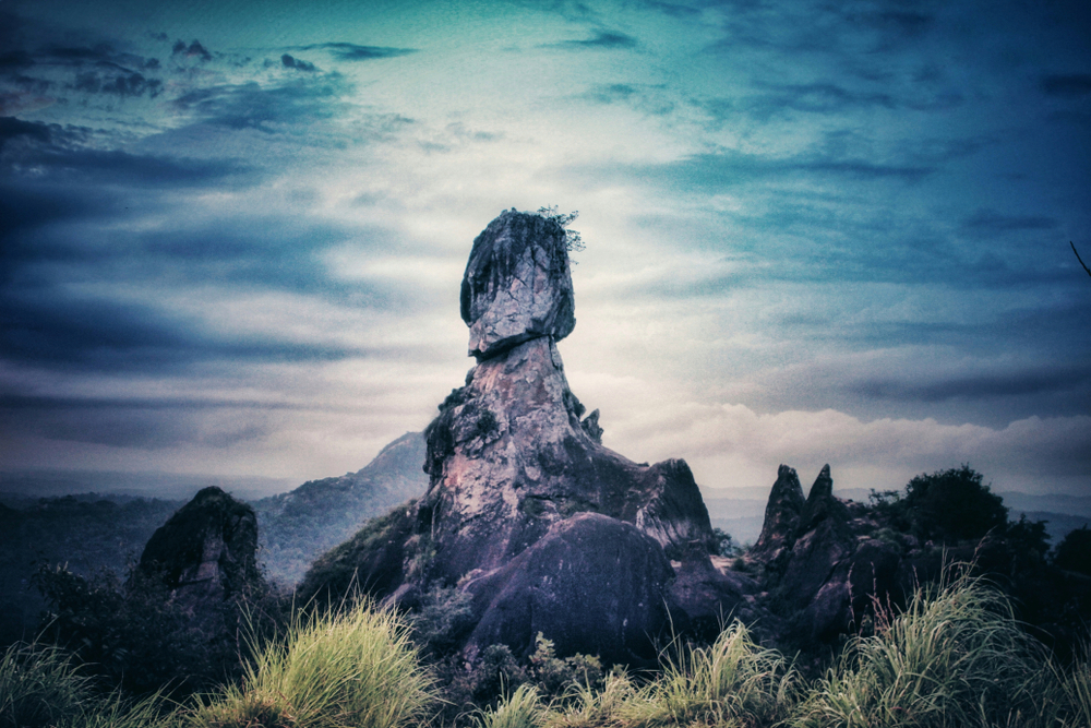 Best time to visit Wayanad, Kerala