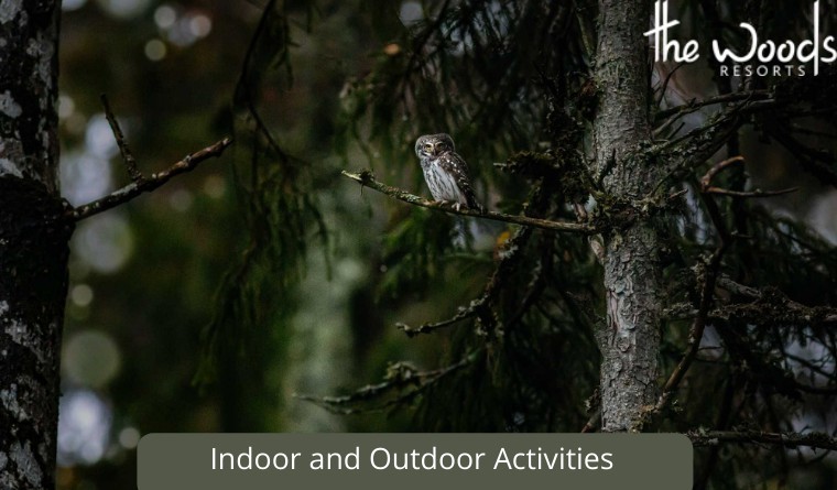 Things to Enjoy in a Wayanad Resort: Indoor and Outdoor Activities