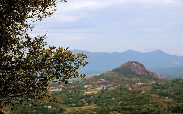 A Guide to Visiting Kolagappara: Timings and Entry Fee
