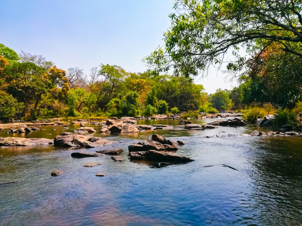 Everything You Need to Know About Kuruva Island in Wayanad