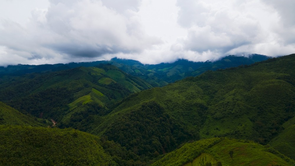 Neelimala View Point, Wayanad