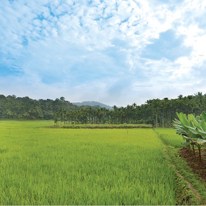 Tour De Organic Farm