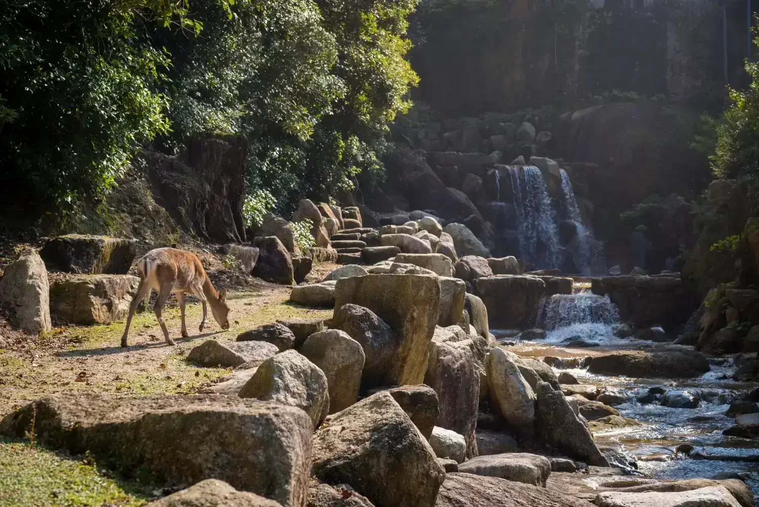 8 Enchanting Places in Kerala Every Traveler Should Explore