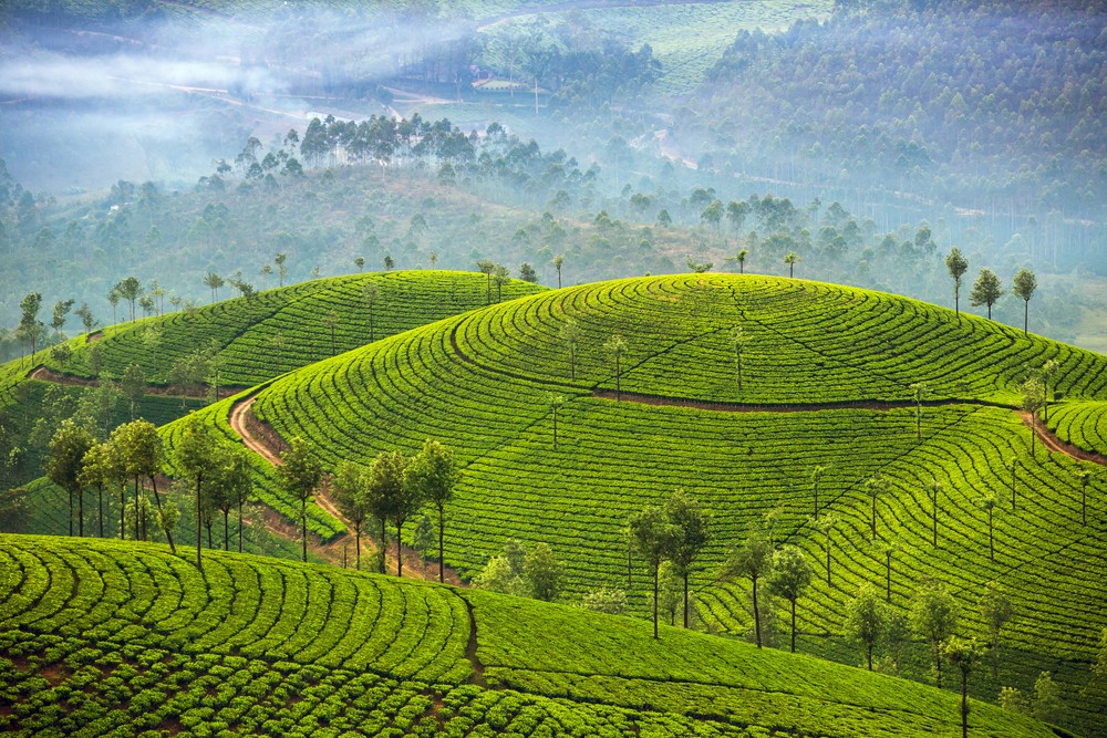 Things to Consider While Planning a Trip to Hill Station