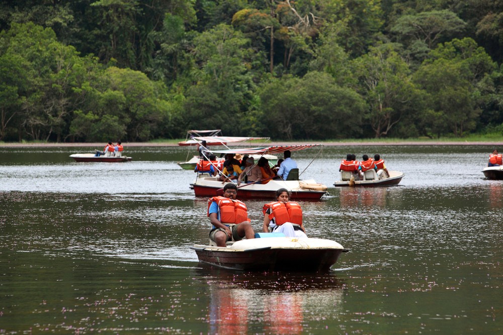 Everything You Need to Know About Pookode Lake in Wayanad