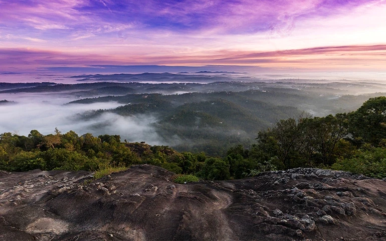 Sunrise Valley Viewpoint: The Perfect Spot for Nature Lovers in Wayanad