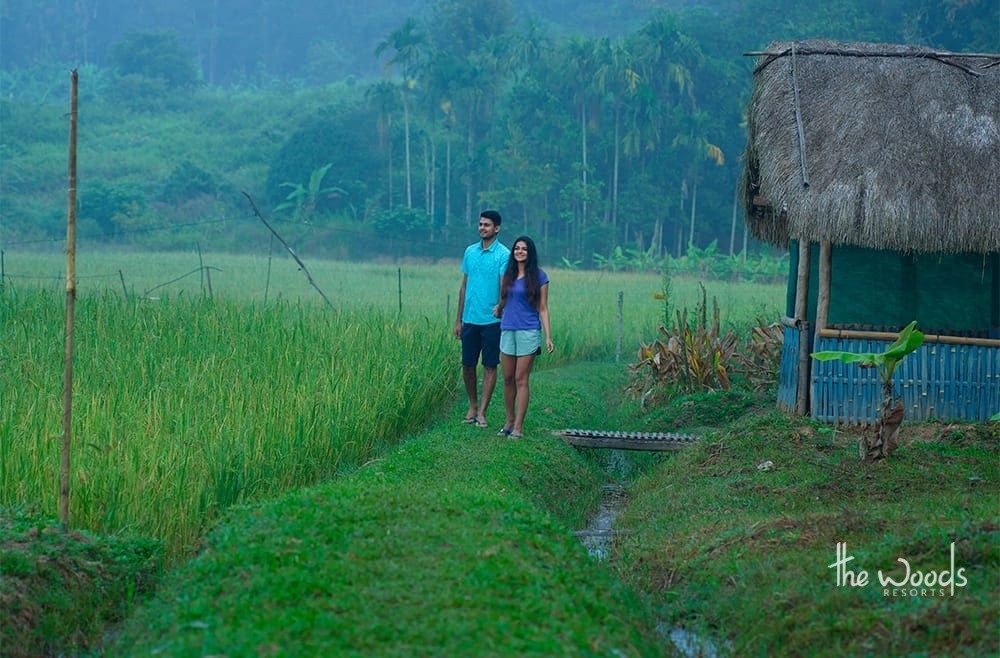 10 Things Travellers Should Know About Wayanad
