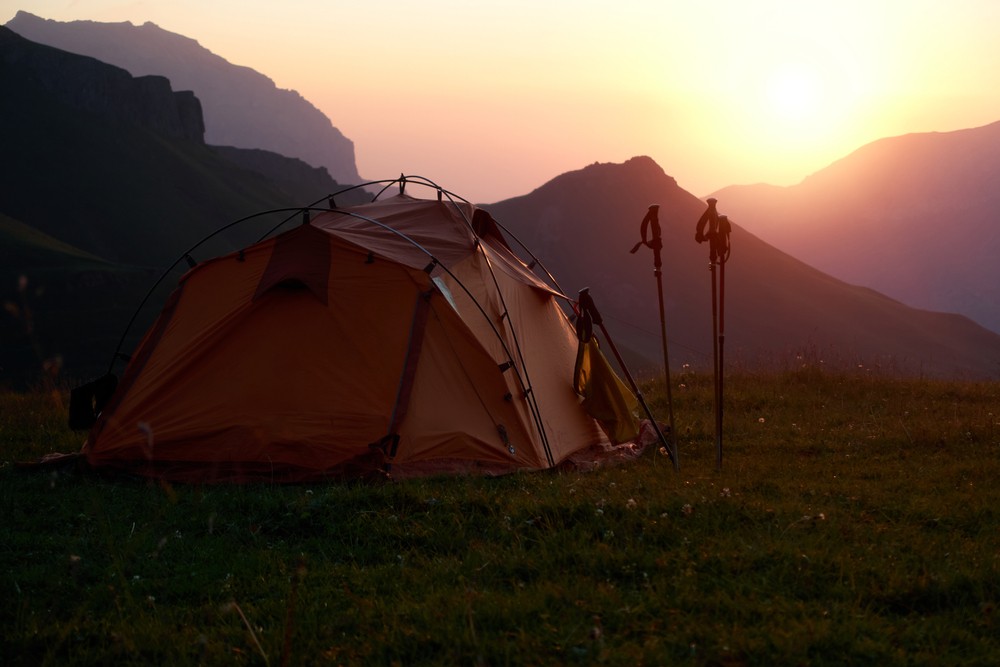 15 Exciting Things To Do in Wayanad