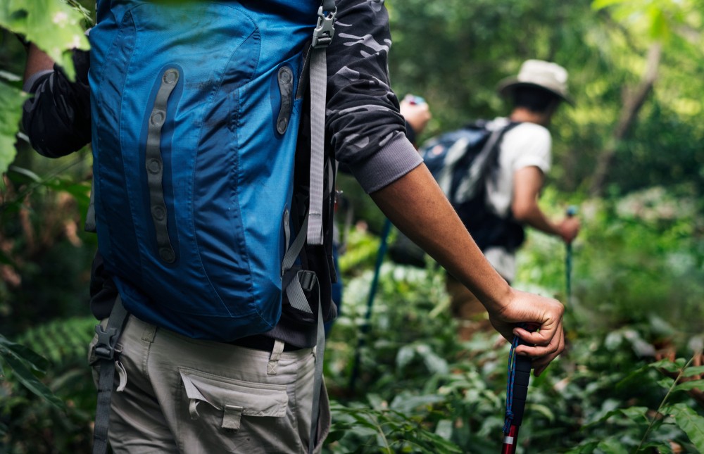 Essential Tips for a Successful Mountain Trip